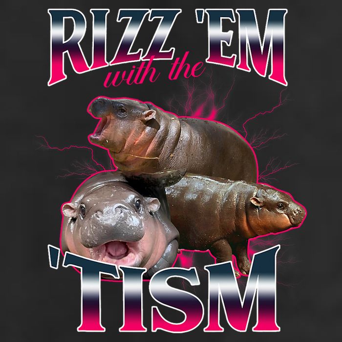 Funny Rizz Em With The Tism Meme Moo Deng Baby Hippo Cool Comfort Performance Bucket Hat