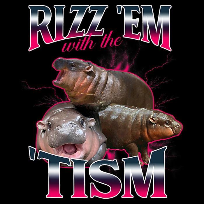Funny Rizz Em With The Tism Meme Moo Deng Baby Hippo Drawstring Bag