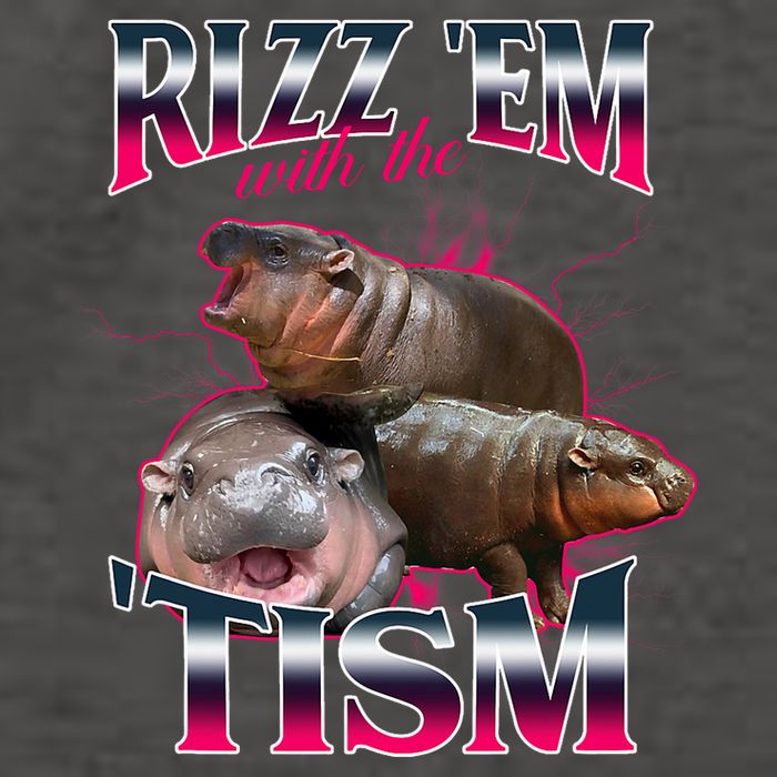 Funny Rizz Em With The Tism Meme Moo Deng Baby Hippo Vector Backpack