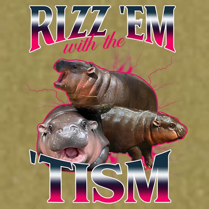 Funny Rizz Em With The Tism Meme Moo Deng Baby Hippo Garment-Dyed Women's Muscle Tee