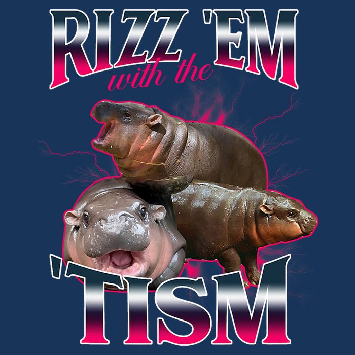 Funny Rizz Em With The Tism Meme Moo Deng Baby Hippo Infant Baby Jersey Bodysuit