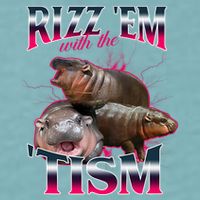 Funny Rizz Em With The Tism Meme Moo Deng Baby Hippo Sueded Cloud Jersey T-Shirt