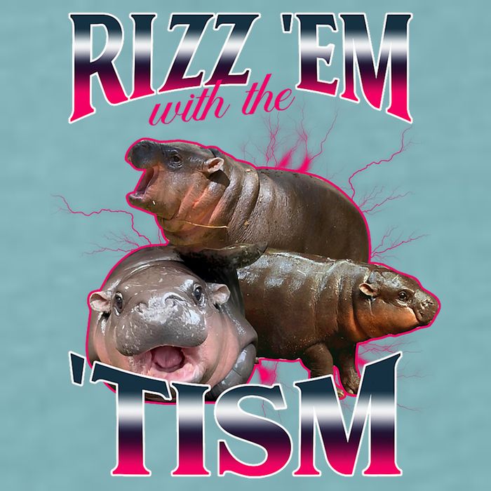 Funny Rizz Em With The Tism Meme Moo Deng Baby Hippo Sueded Cloud Jersey T-Shirt