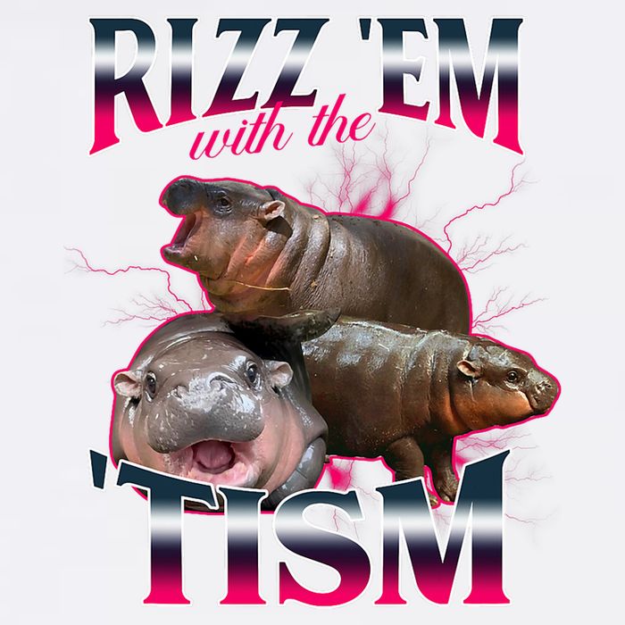 Funny Rizz Em With The Tism Meme Moo Deng Baby Hippo Garment-Dyed Sweatshirt