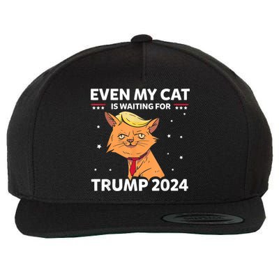 Funny Republicans Even My Cat Is Waiting For Trump 2024 Wool Snapback Cap