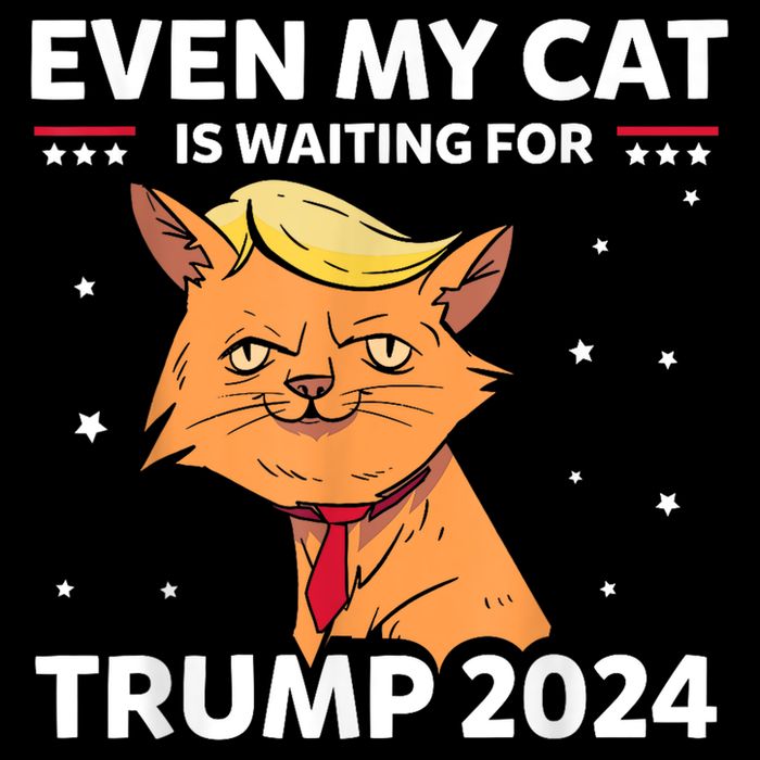 Funny Republicans Even My Cat Is Waiting For Trump 2024 Wool Snapback Cap