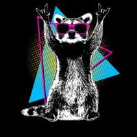 Funny Retro Everyday Is Trash Day Raccoon Mug