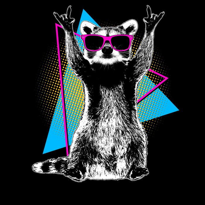 Funny Retro Everyday Is Trash Day Raccoon Mug