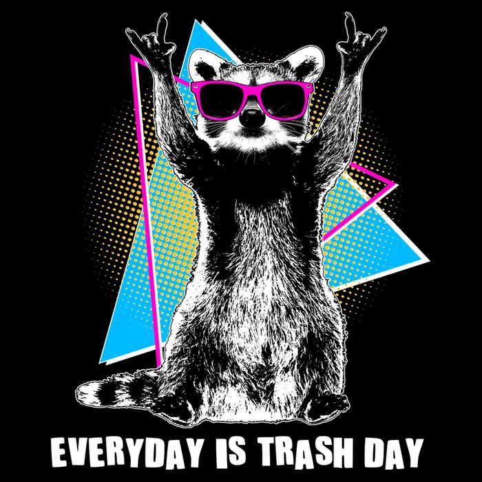 Funny Retro Everyday Is Trash Day Raccoon Wool Snapback Cap