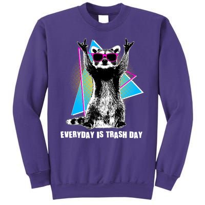 Funny Retro Everyday Is Trash Day Raccoon Sweatshirt