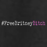 Free Britney B*tch Meme 7 Panel Mesh Trucker Snapback Hat