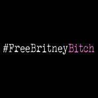 Free Britney B*tch Meme 16 in Basic Backpack