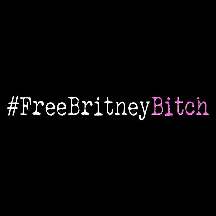 Free Britney B*tch Meme 16 in Basic Backpack