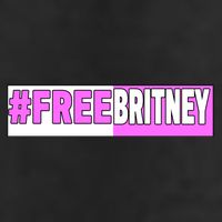Free Britney Help Save Her 7 Panel Mesh Trucker Snapback Hat