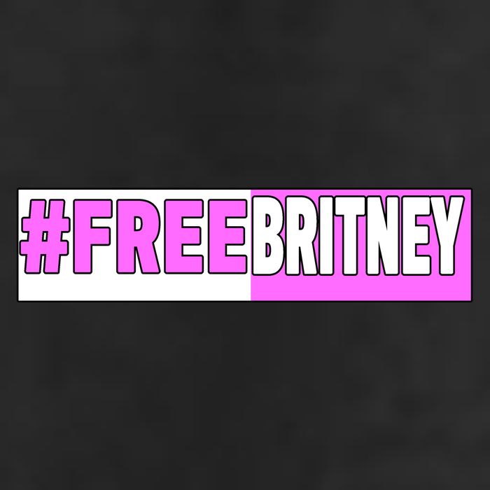 Free Britney Help Save Her 7 Panel Mesh Trucker Snapback Hat
