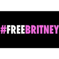 Free Britney Meme Fight For Britney Bumper Sticker