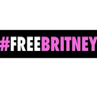 Free Britney Meme Fight For Britney Bumper Sticker