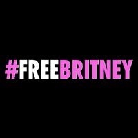 Free Britney Meme Fight For Britney Premium T-Shirt