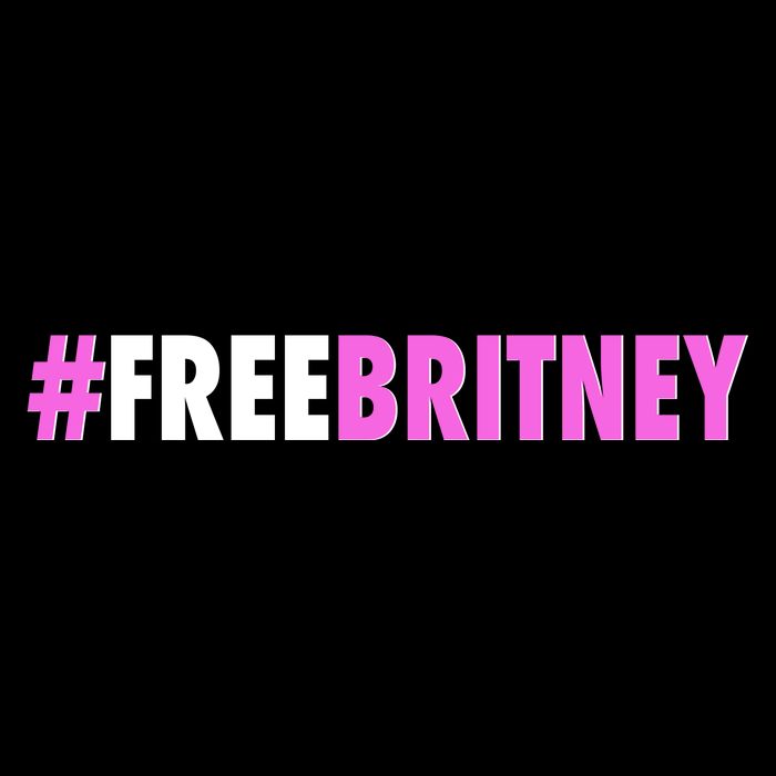 Free Britney Meme Fight For Britney Premium T-Shirt