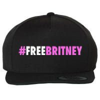 Free Britney Meme Fight For Britney Wool Snapback Cap