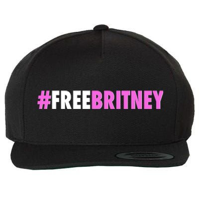 Free Britney Meme Fight For Britney Wool Snapback Cap