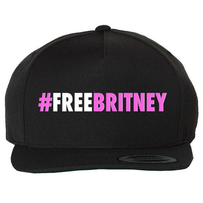 Free Britney Meme Fight For Britney Wool Snapback Cap