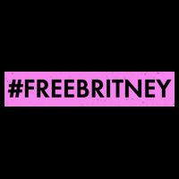 Free Britney Meme Movement 16 in Basic Backpack