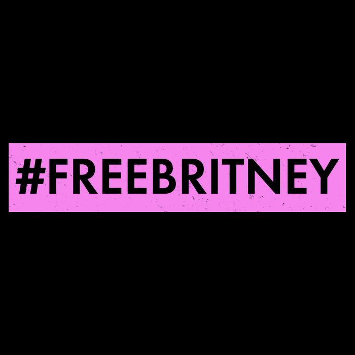 Free Britney Meme Movement 16 in Basic Backpack