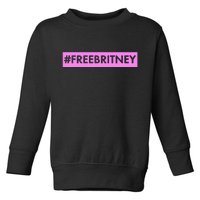 Free Britney Meme Movement Toddler Sweatshirt