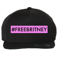 Free Britney Meme Movement Wool Snapback Cap