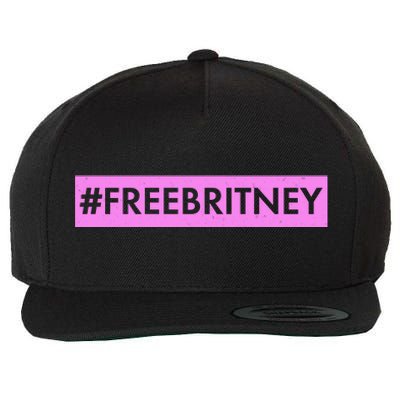 Free Britney Meme Movement Wool Snapback Cap