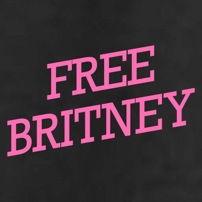 Free Britney pink 7 Panel Mesh Trucker Snapback Hat