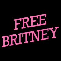 Free Britney pink Flatbill Hat