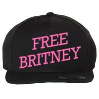 Free Britney pink Wool Snapback Cap