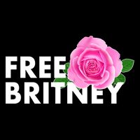 Free Britney Pink Rose Flower Performance Shirt