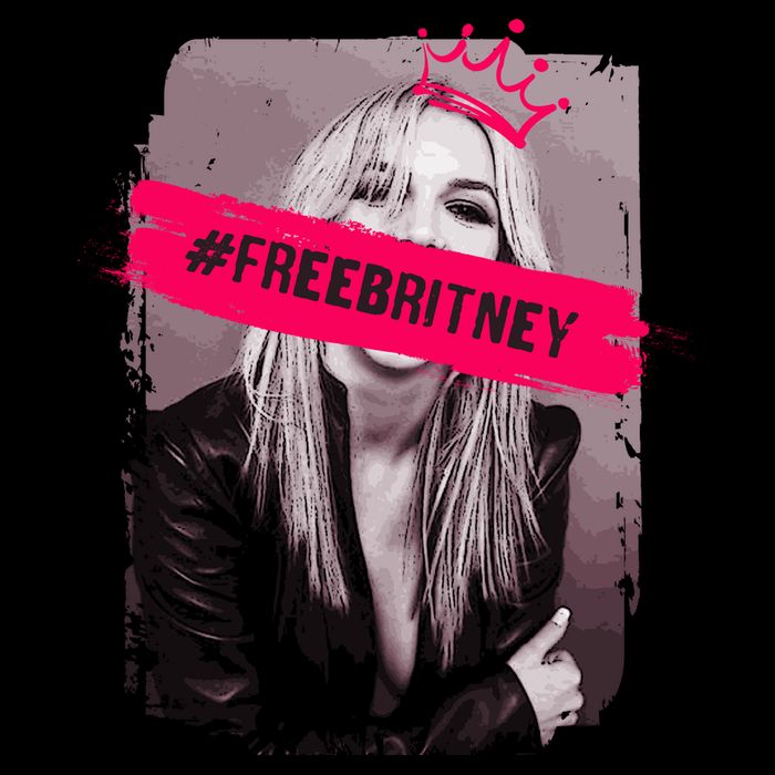 Free Britney Spears #FREEBRITNEY Flatbill Hat