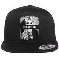 Free Britney Grey Style Flatbill Hat