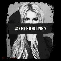 Free Britney Grey Style 16 in Basic Backpack