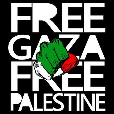 Free Gaza And Palestine Fist T-Shirt