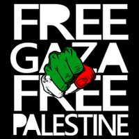 Free Gaza And Palestine Fist Flatbill Hat