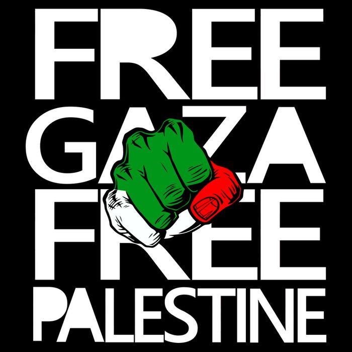 Free Gaza And Palestine Fist Flatbill Hat