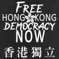 Free Hong Kong Democracy Now HK Independence Flag 7 Panel Mesh Trucker Snapback Hat