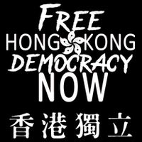 Free Hong Kong Democracy Now HK Independence Flag Cropped Pullover Crew
