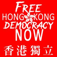 Free Hong Kong Democracy Now HK Independence Flag Flatbill Hat