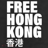 Free Hong Kong For Democracy Now Beanie