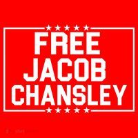 Free Jacob Chansley T-Shirt