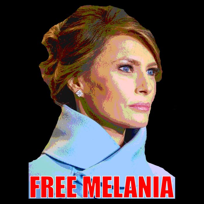 Free Melania Red Photo Wool Snapback Cap