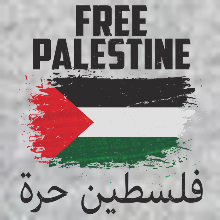 Free Palestine Arabic Distressed Painted Flag T-Shirt