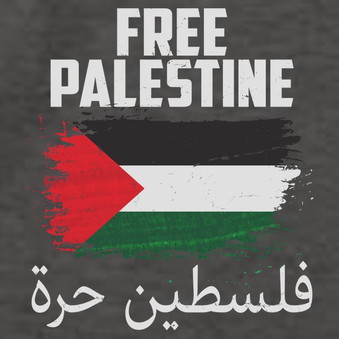 Free Palestine Arabic Distressed Painted Flag Vector Backpack