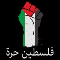 Free Palestine Arabic Protest Fist Flag Colors Poster